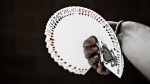 Карты Tally Ho Fan Back red смотреть Карты Tally Ho Fan Back red смотреть
