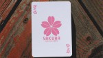   Sakura 